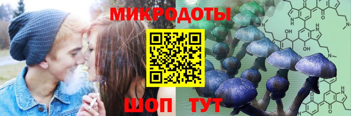 Рубцовск  Галлюциногенные грибы Magic Shrooms  Вход с VPN 